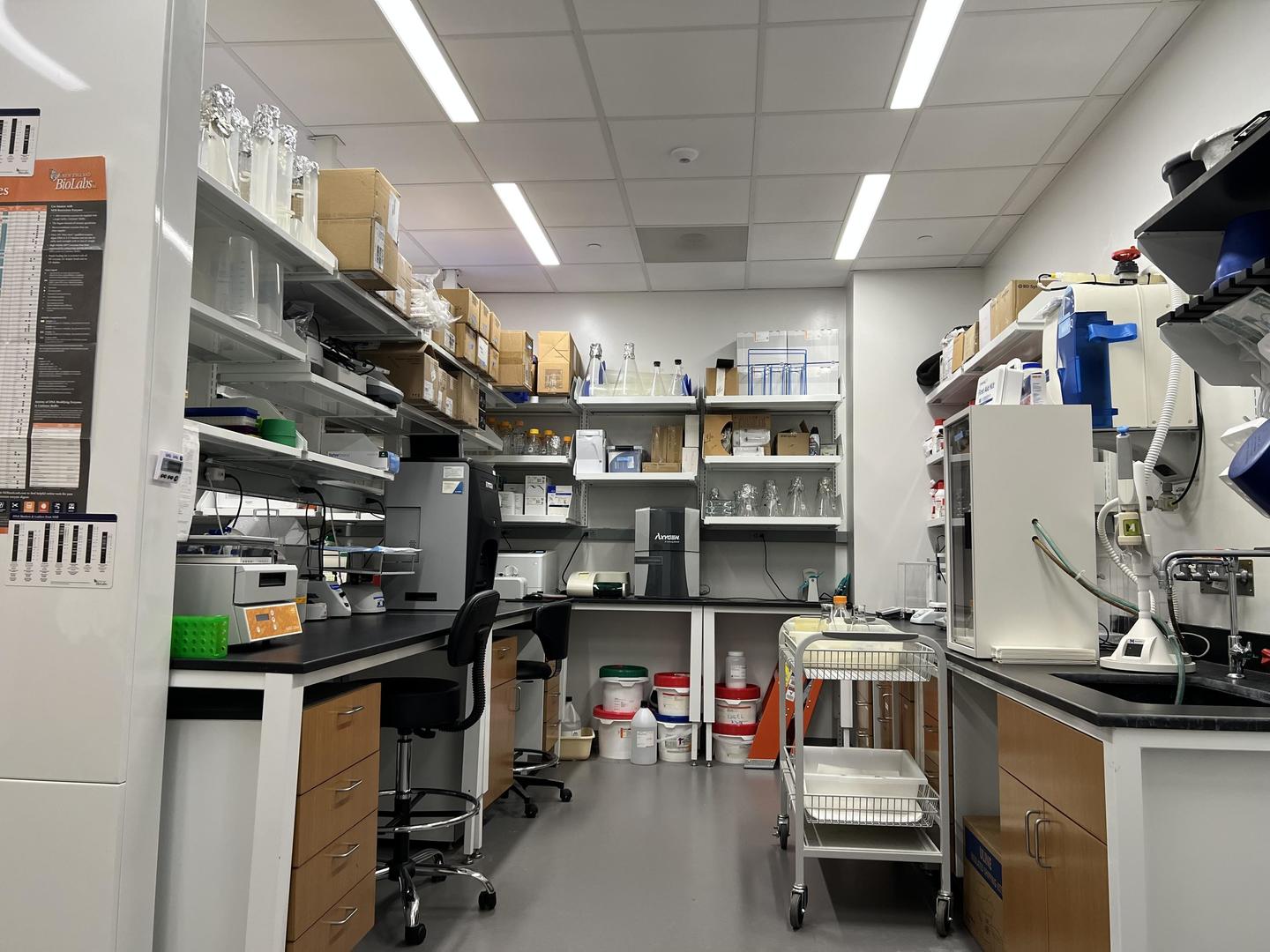 Mol.Bio.Hub.A66H